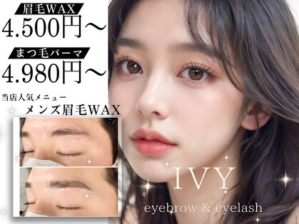 アイビー(IVY)の写真
