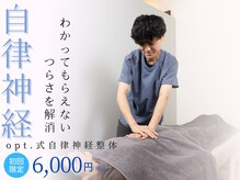 オプト(opt.)