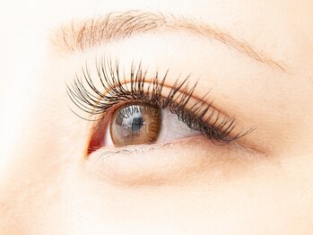 ルー(Luu)/フラットマットラッシュ160本