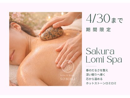 ソマリ(SOMALI)の写真