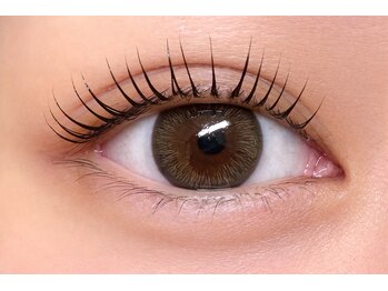 リーベ 高槻(Liebe)/☆まつ毛パーマ(パリジェンヌ)