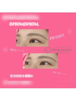 アイラッシュサロンシュシュ 綱島店(chou chou)/眉WAX&眉毛パーマ&まつ毛パーマ