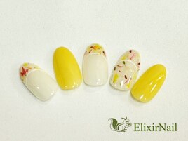 定額aシンプル/クーポン使用