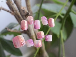 8月select(Q)6,980円◆全10種