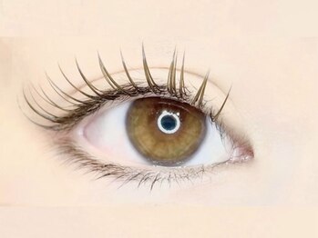 ネイルアンドアイラッシュ ミミリィ(Nail & Eyelash mimily)/カラーエクステ