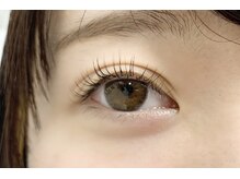 シック(Chic)/All color　80本