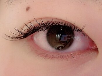 カラン 焼津店(CALIN)/フラットラッシュ120本♪