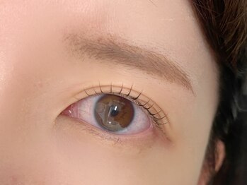 シェリ バイ リッシュ(Cheri by RICHE)/まつ毛パーマ/カールロッド