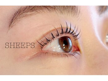 シープス(SHEEPS)/上下まつ毛パーマ