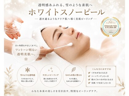 アドミーロの写真