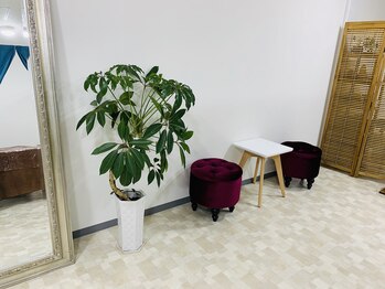 アイラッシュサロン リリー(LILLY)/内観