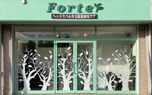 フォルテ(Forte)