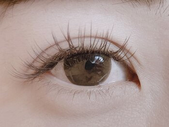 ローラント(LAURENT)/ブラウンフラットラッシュ 160本