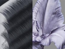 リビケイト 堀江店(Livicate)/Navy Ash