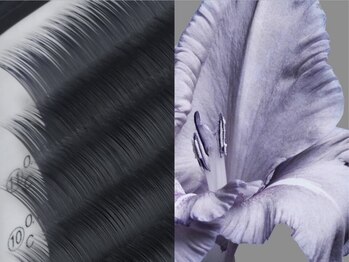 リビケイト 堀江店(Livicate)/Navy Ash