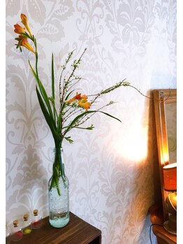 ミネット ビビ(minette BIBI)/