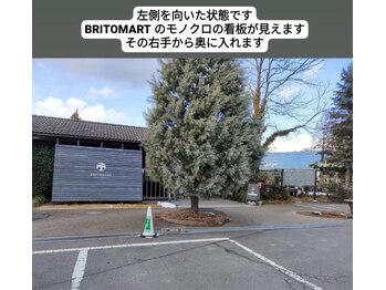 ビエストラ(Biestora)/