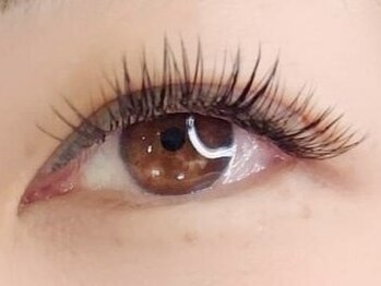 ティア 健軍店(Tia)の写真/当店で初めてWフラット付ける人限定【ダブルフラットラッシュ80束(160本)¥5500】軽い付け心地&持ちの良さ◎