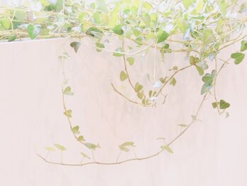 ホリスティックサロン ベレタ 自由が丘(VELETA)/店内の雰囲気