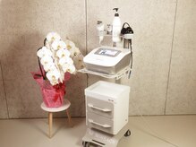 カラーリリー(Calla Lily)/Winback