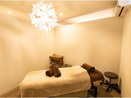 サンゴ(sango)の写真