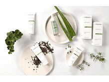 リリーズアート(Lilly's art)/新導入★クリスティーナ