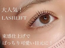 エラ(ELLA)