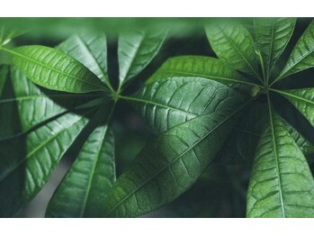 パノラマ(360°)の写真/全身の歪みと巡りを整え、しっかり疲れを解消。静かな余韻の残る疲労ケアをご体感ください。