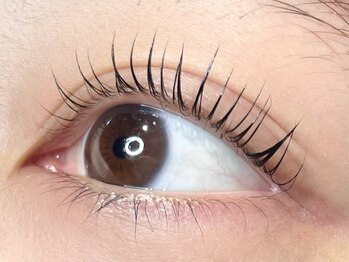 サーデ(saade)/ぱっちりまつげパーマ