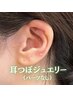 【耳つぼジュエリーパーツ無し10個】¥2,640