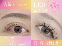 ミーフェリ 関内(Mi.Feli)