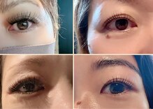 ヒカリリア(hikariria)