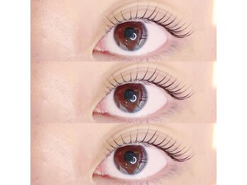 エディション(EDITION)/まつ毛パーマ