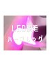 Sugaring×LED【ダブル脱毛】ハーフレッグ