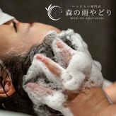 森の雨やどり