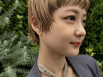 シーセブンビューティ(ccccccc b.)の写真