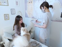 モイト 三軒茶屋(moito)