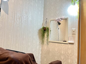 ヘアアンドアイラッシュアンドボディ ウィルーチェ(WiLuce)/4 内観