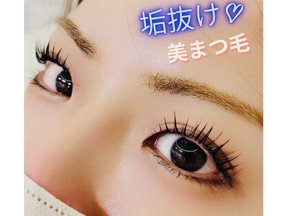 スワロ(Swallow)の写真