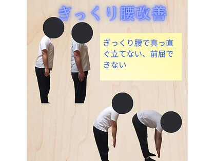 古式腱引き 甘田道場の写真