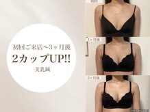 Onはり灸サロン/バストアップ美乳鍼　平均2CUPUP