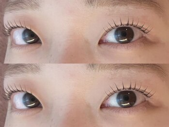 モルレーヴ(MOLREVE)/パリジェンヌ