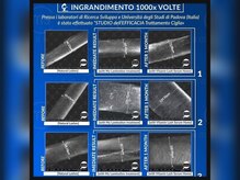 ルアナ(Luana)/マイラミネーションの毛の変化