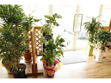 ケアスポット イーズ(care spot e's)/いらっしゃいませ