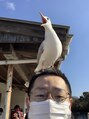 名古屋ハピネス鍼灸接骨院丸の内 動物も好きです（笑）　自宅でリクガメ飼ってます。