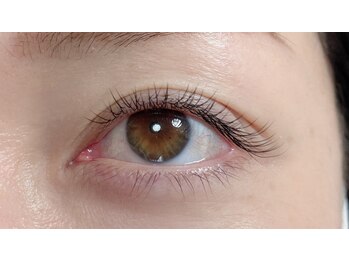 フーム(whom)/フラットラッシュ100本!