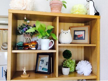 カイロプラティカ ドルチェ/インテリアにも温もりを