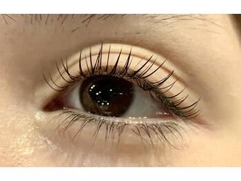 レミア 関内(REMIA)/11月　フラットラッシュ