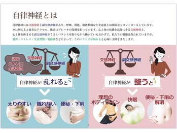 極楽/微弱電流ハンドセラピス