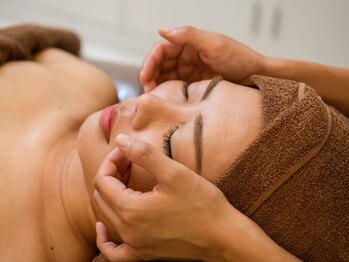 マーキュリー(Mercury)/ソフトコルギ